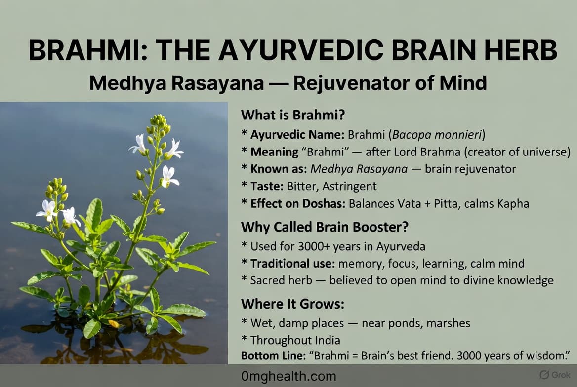 brahmi ke fayde brain memory focus badhane wali ayurvedic herb brahmi plant benefits