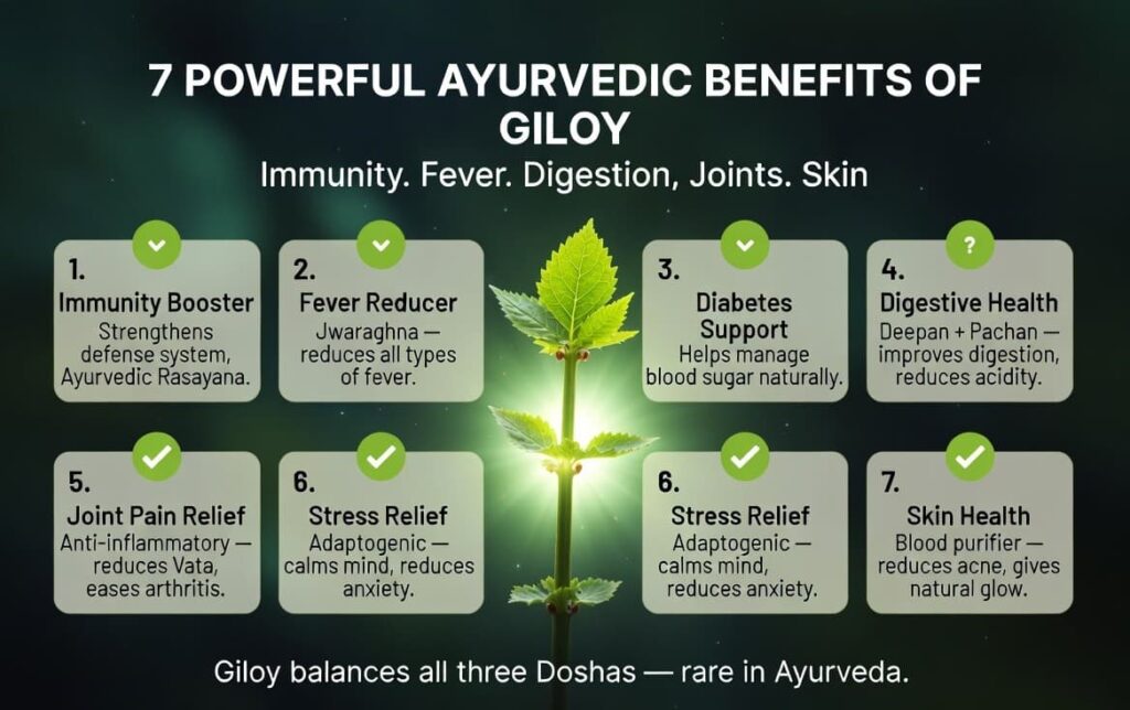 Giloy juice ke health benefits fever diabetes aur digestion ke liye. Giloy Juice Ke 7 Health Benefits.Rozana giloy juice peene se fever control, blood sugar balance aur digestion improve hota hai. Janiye giloy ke powerful health benefits.